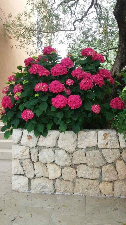 Apartman Mare Maslenica Exterior photo